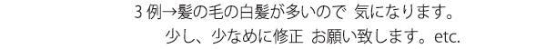 3例→髪の毛の白髪が多いので  気になります。少し、少なめに修正  お願い致します。etc.