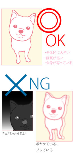 OK画像・NG画像 2
