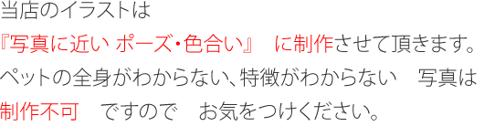 当店のイラストは『写真に近い ポーズ・色合い』に制作させて頂きます。